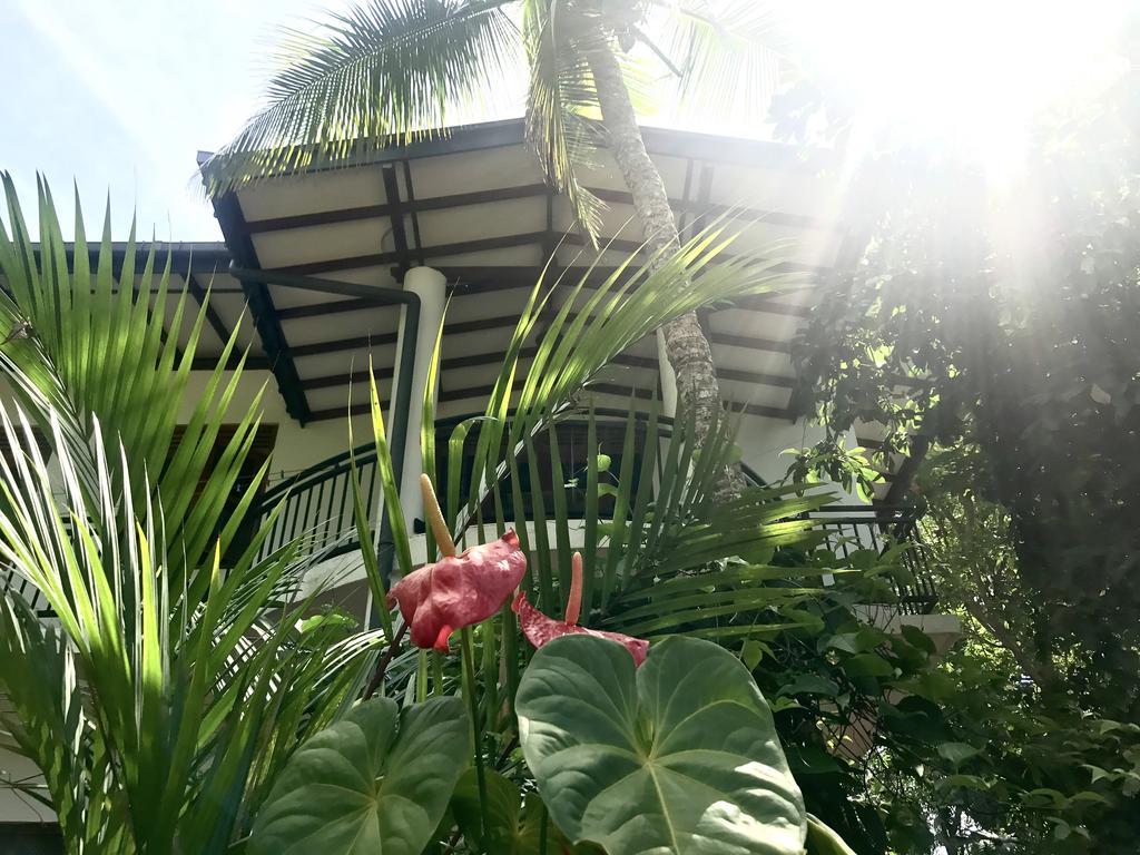 Mount Nature Villa Hikkaduwa Quarto foto